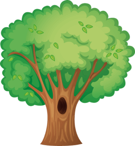 arbre