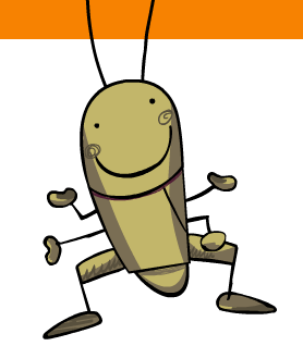 bichitos5