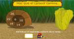 caracol