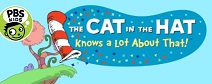 cat hat