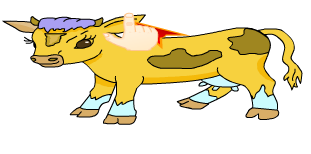 vaca
