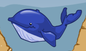 whale
